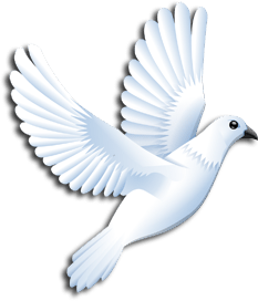 White Dove of Peace